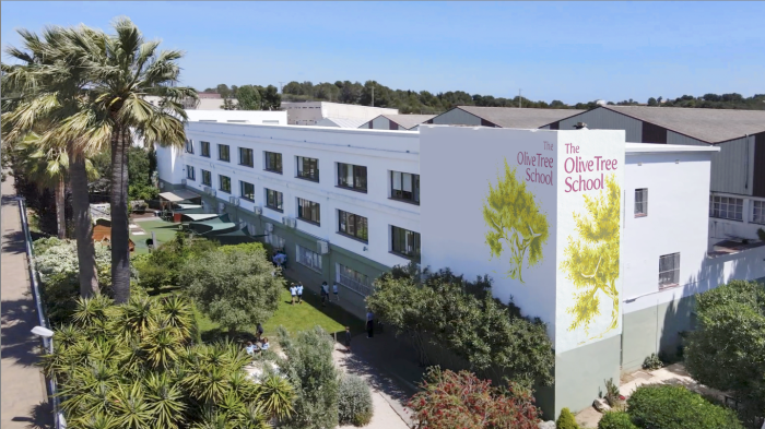 The Olive Tree School